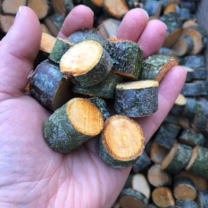 Friandises en bois de pomme ou de poirier, à mâcher, en morceaux, à pièce de monnaie, à grignoter