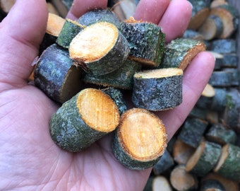 Apple or Pear wood treats, chews, chunks, coins, nibbles