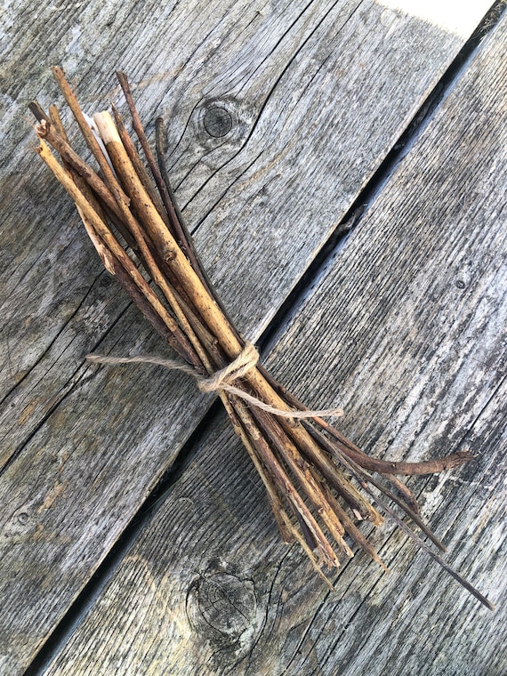 Willow sticks top for hamsters