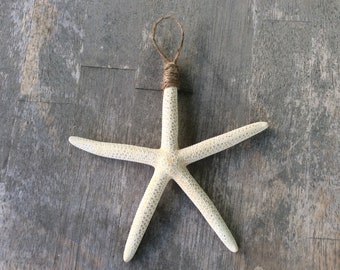 Large Hanging Starfish