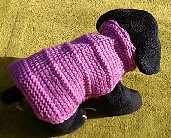 x small dog coat
