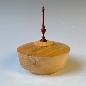 Pet Urn - Lidded Hollow Form - Urn for Ashes