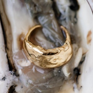 Könnte beinhalten: Ein goldener Ring mit einer strukturierten, unregelmäßigen Oberfläche, der in einer Austernschale liegt.