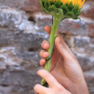 May include: A hand wearing a gold ring with black and white accents holds a sunflower with yellow petals and green leaves.