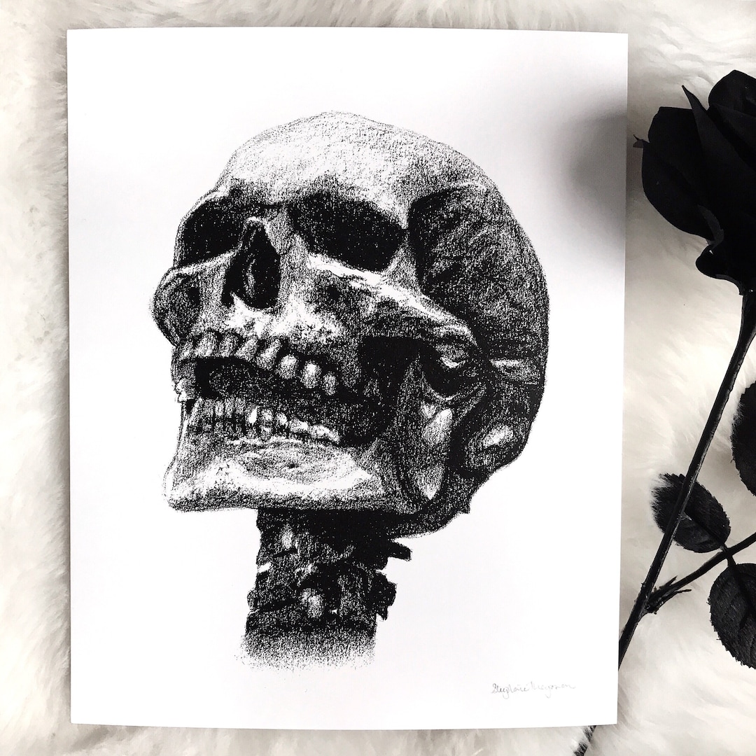 Charcoal Skull Drawing Art Print Signed- Minimalist Art, Fine Art