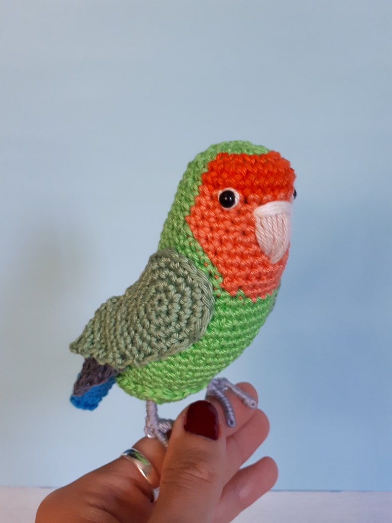 Crochet Peachfaced Lovebird Plush Toy Budgie Lover Gift Pet Etsy