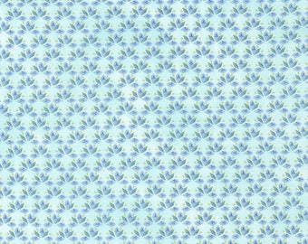 Choose your cut size. Timeless Treasures Janelle Penner Wild Apple White and teal fabric Quilting Cotton Fabric