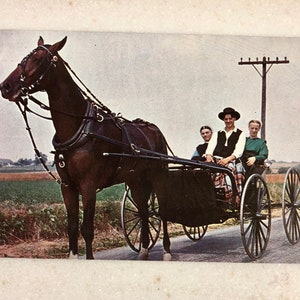 Carte postale vintage Dutch Country Horse & Buggy