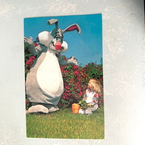 Carte postale vintage Florida Cypress Gardens avec Flop le lapin 1986