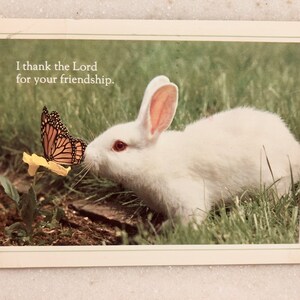 carte postale vintage Bunny Rabbit & Butterfly Je remercie le Seigneur pour votre amitié