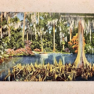 Cartolina d'epoca Florida Cypress Gardens 1941 Lino