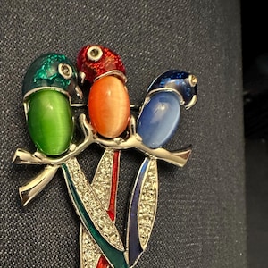 Large Statement Parrot Brooch Cabochon Stones