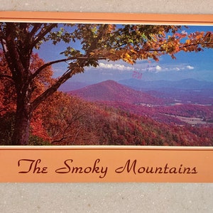 Vintage ansichtkaart The Smoky Mountains National Park extra groot