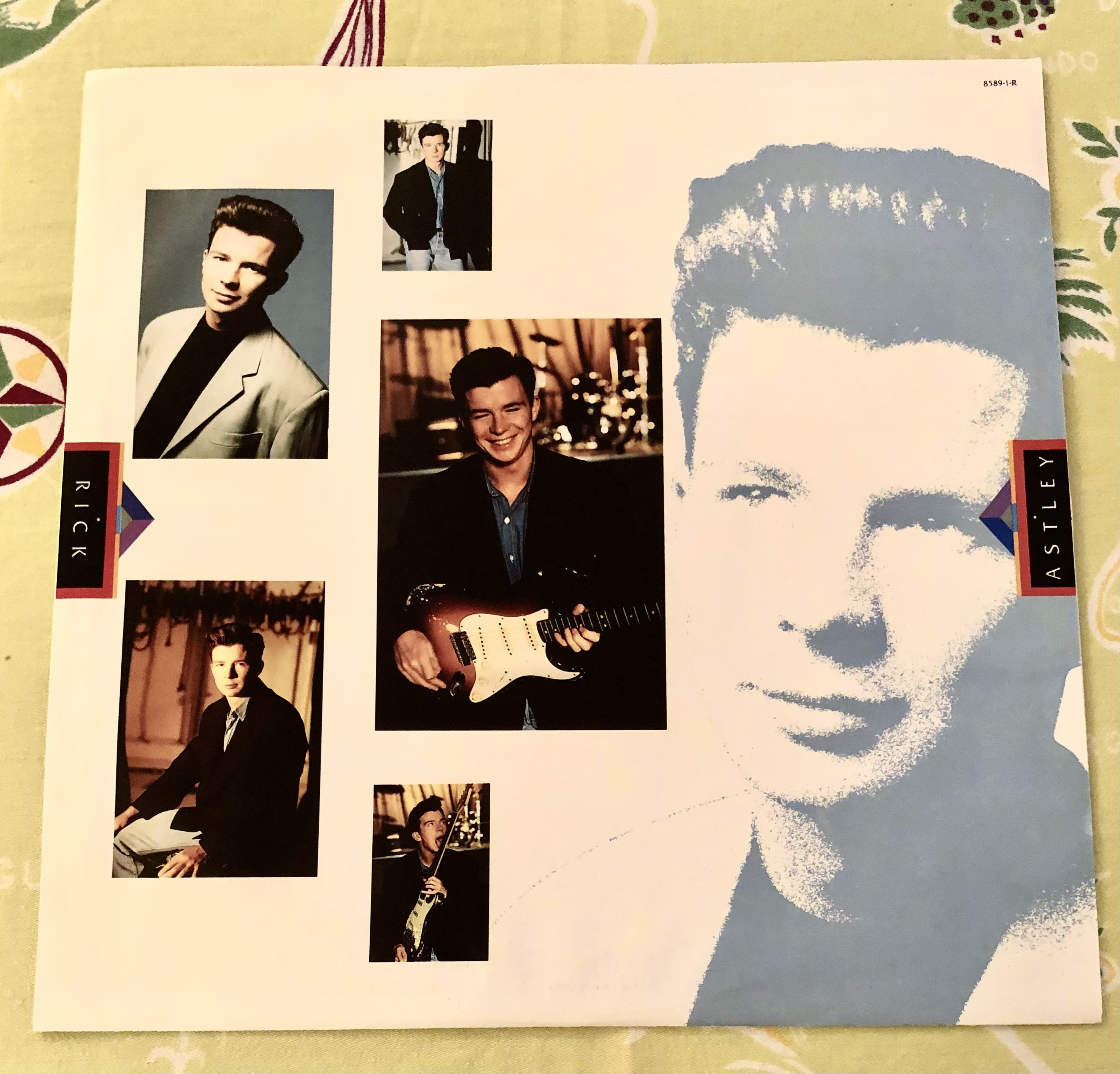 Vintage Rick Astley Hold Me in Your Arms Vinyl LP Record Album | Etsy