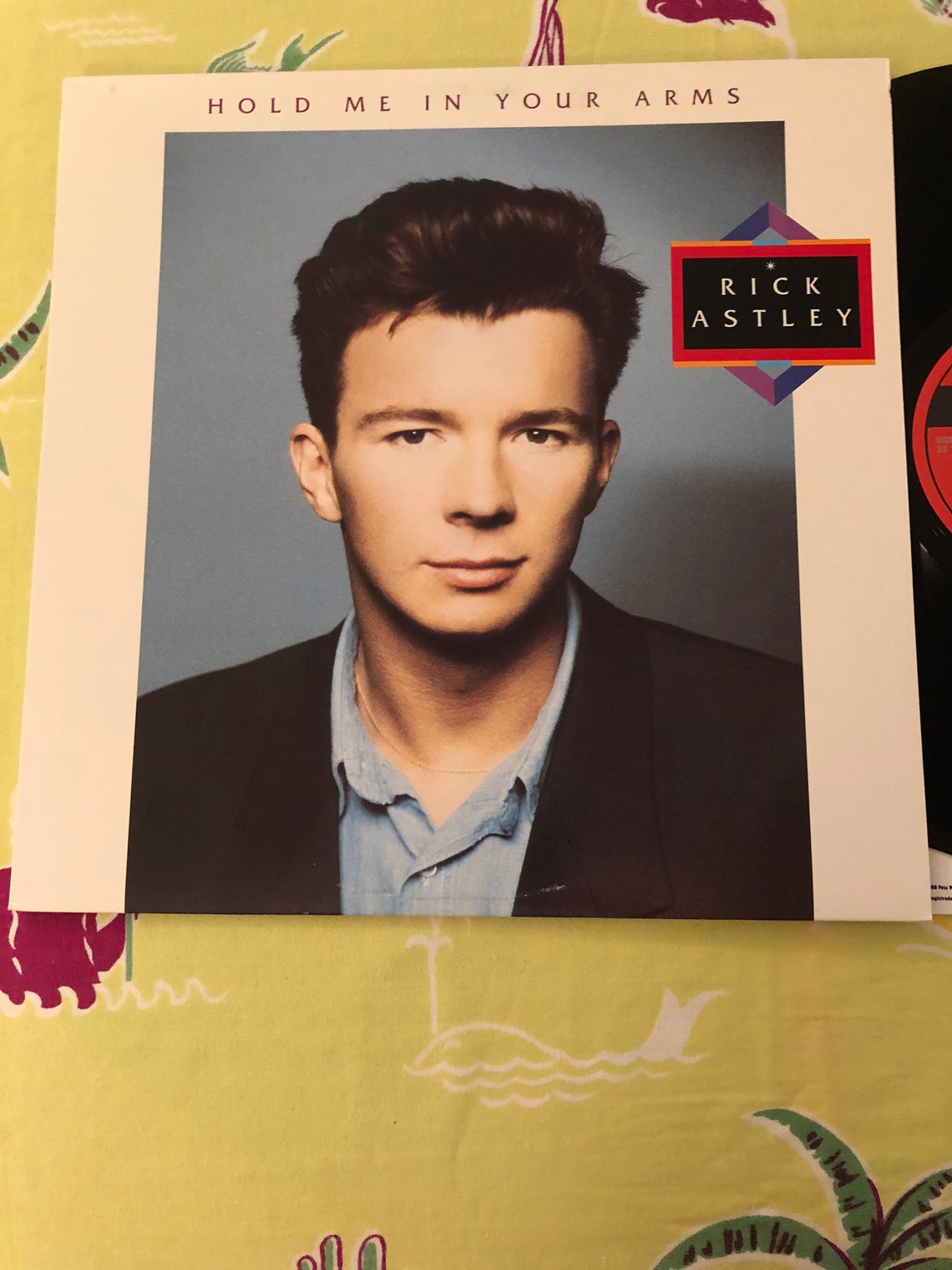 Vintage Rick Astley Hold Me in Your Arms Vinyl LP Record Album | Etsy