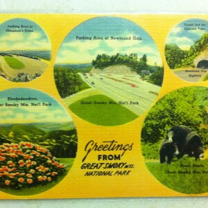 Vintage briefkaart Tennessee Great Smoky Mts National Park Groeten van TN Mint Linen