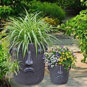 May include: Two dark gray planters with human face designs. The larger planter holds a green and white plant, while the smaller one contains colorful flowers. The planters are placed outdoors near a stone path and lush greenery.