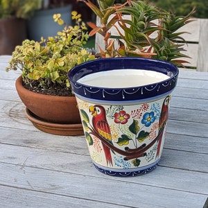 Puede incluir: Una maceta de cerámica blanca con un borde azul y un diseño colorido de loros y flores. La maceta está sentada en una mesa de madera.