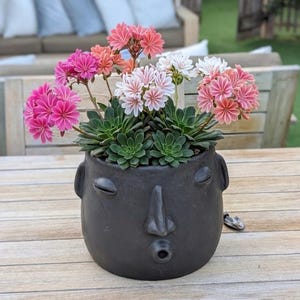 Clay Face Planter | "Whistler" Handmade Artisan Pottery from Atzompa, Mexico