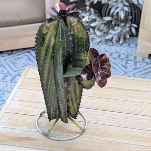 Cactus Garden Decor | Cactus Decorations for Your Yard or Home are Hand Painted Lifelike Metal Cactus - Mexican Yard Art to Enjoy at Home