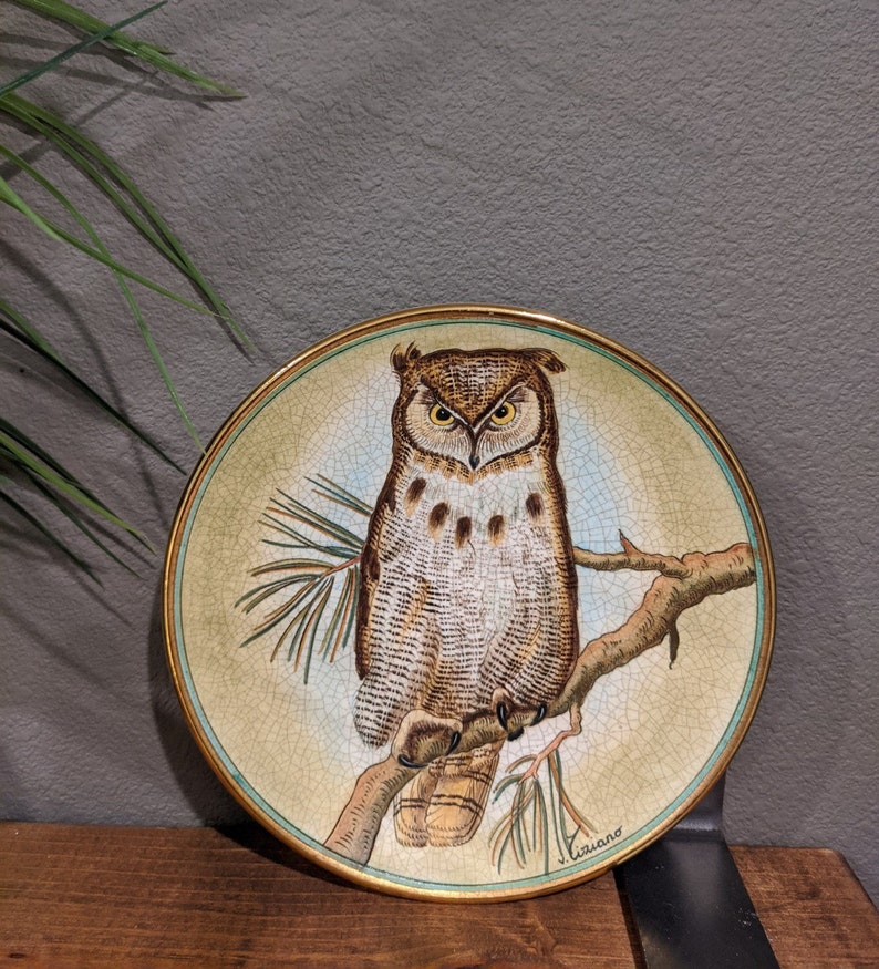 Great Horned Owl Vintage Collector Plate 1972 by Vicente Tiziano  from Veneto Flair