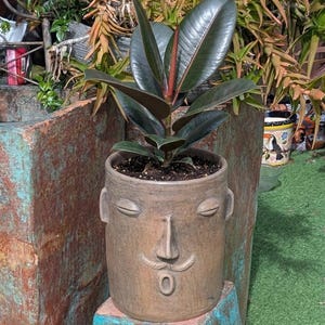 May include: A white ceramic mug with a black handle and the text "But First, Coffee" in a bold, black font. The mug is set against a blurred background, highlighting its clean design.