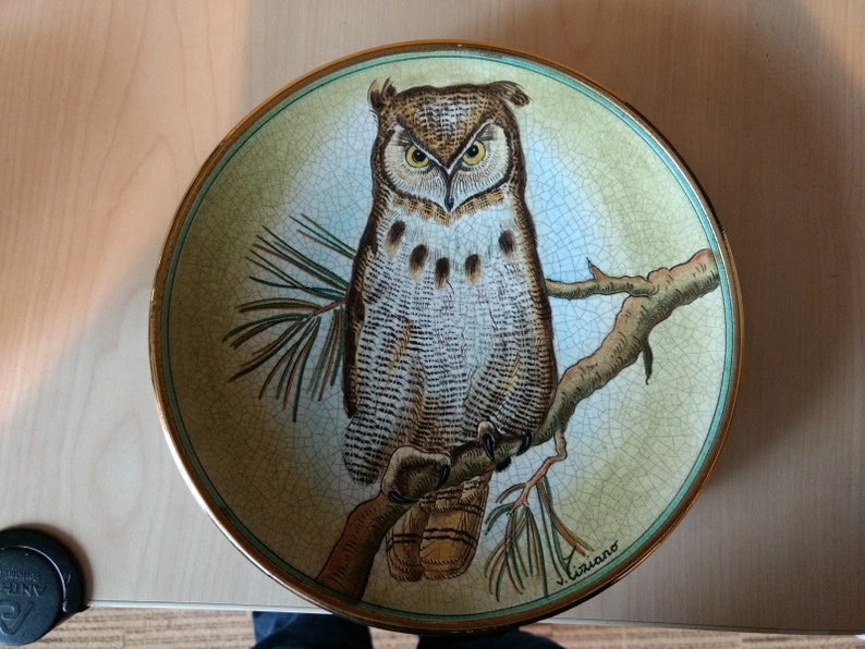 Great Horned Owl Vintage Collector Plate 1972 by Vicente Tiziano  from Veneto Flair