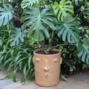 Mexican Face Planter | Handmade Atzompa Pottery | Artisan Flower Pot Home Decor