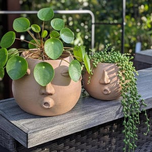 Puede incluir: Dos macetas con forma de rostro de color terracota, una grande y otra pequeña, cada una con diferentes plantas verdes. La maceta más grande tiene hojas verdes redondas, mientras que la más pequeña tiene hojas en cascada.