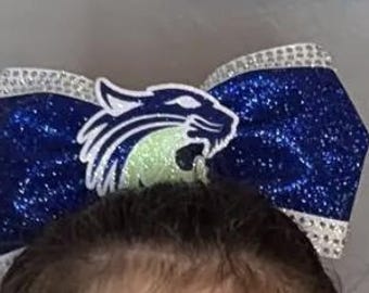 Custom Order for Weinberg Cheer