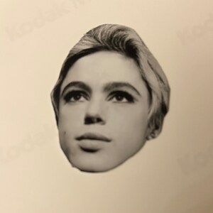 Edie Sedgwick image 2