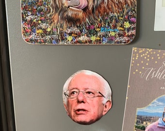 Bernie Sanders Magnet