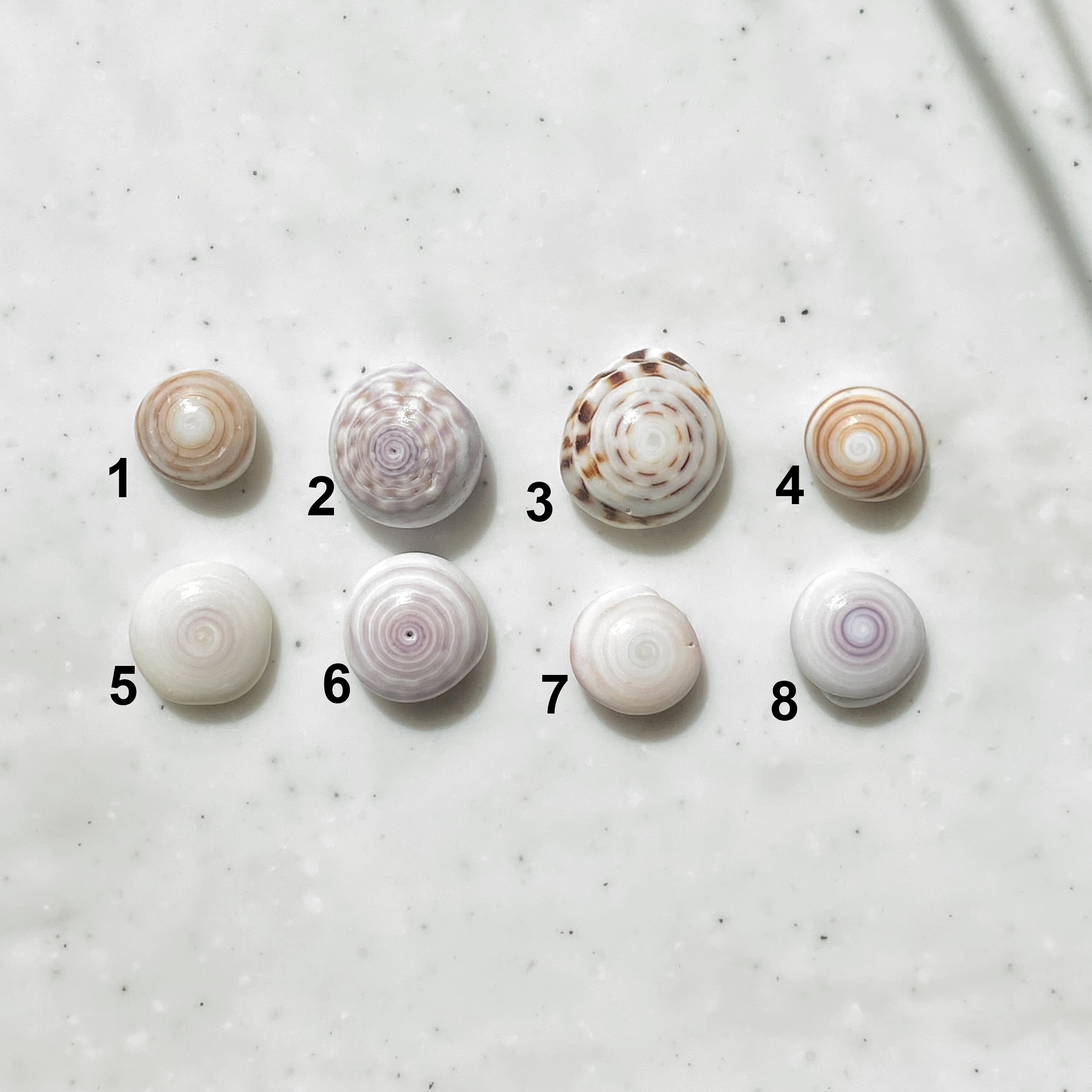 全商品超特価 Natural K18ball Shell White リング