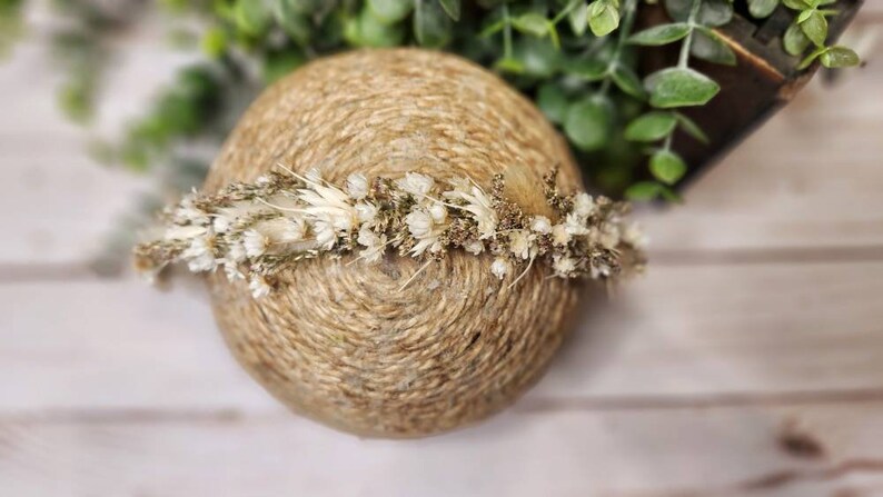 WillowNewborn Flower Crown, Newborn Photography Prop, Newborn Flower Halo, Neutral Flower Crown, Dried Flower Crown, Sitter Flower Crown image 9