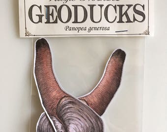 Geoduck Handmade Art Stickers