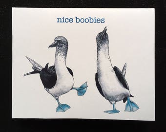 Nice Boobies card, funny card with nature wildlife art of blue footed Galapagos boobies