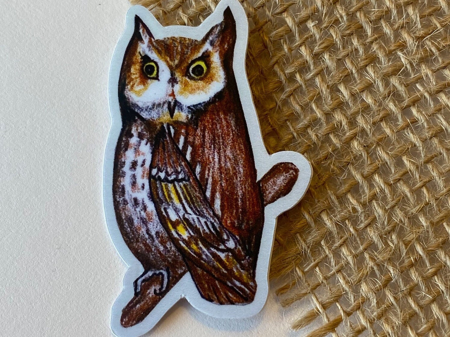 Mini Sticker Owl Bird Vinyl Sticker Matte Waterproof Bird Watcher Gift Original Owl Art Laptop Plann