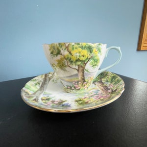 Vintage Shelley England Woodland Cup and Saucer