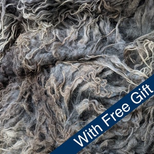 Hebridean Sheep Fleece ~ From Scottish Island ~ Whole Fleece ~ Cotted Felted ~ High Welfare Happy Sheep