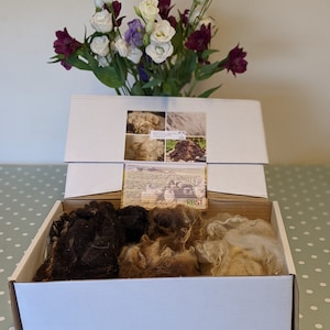 Rare Fleece Selection Box ~ Scottish Conservation Flock ~ Sheep Fleece ~ Island Farm ~ Raw Wool ~ Spinning