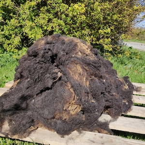 Sheep Wool for Spinning Luxury Lamb&#39;s Fleece ~ Black Shetland ~ Scottish Conservation Flock ~ Scottish Island Farm  ~ Fine Fleece