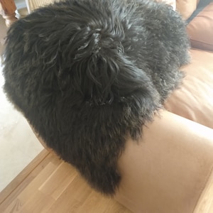 Black Curly Sheepskin, 43" Premium, sheepskin rug, Deep-pile, Icelandic. 100% Natural, not dyed, ecological tanins