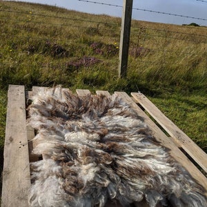 Pode incluir: Um tapete de pele de ovelha natural com uma mistura de fibras de lã castanhas, cinzentas e brancas. O tapete está colocado numa palete de madeira ao ar livre, com uma cerca de arame farpado e uma colina gramada ao fundo.