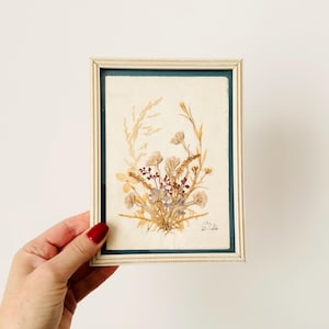 Farmed Pressed Flowers, Wall Decor, Framed Floral Picture