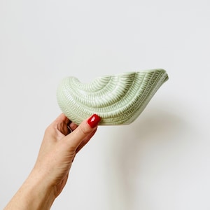 Puede incluir: Un macetero de cerámica de color verde claro con forma de concha. El macetero tiene una superficie texturizada.