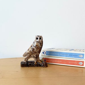 Studio Pottery Owl, Handmade Bird, Bookshelf Decor
