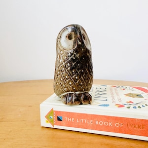 Handgjord Studio Pottery Owl, Isle of Skye keramikfågel, bokhylledekor
