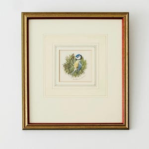 Original Watercolour Painting of Blue Titnouse Bird By Ken Taylor, Ornithology Art