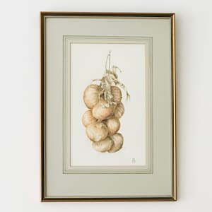 Original Vintage Watercolour Painting, Onions, Framed Vintage Art, Kitchen Wall Decor