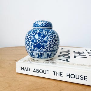 Chinese Ginger Jar, Hand-painted Porcelain Jar, Chinese Blue and White China